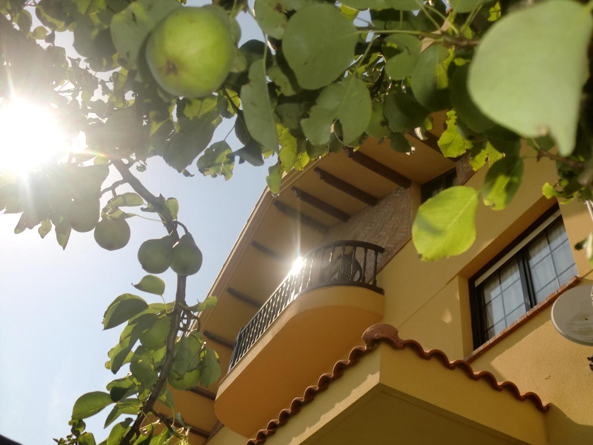 Posada Las Garzas Santoña 外观 照片